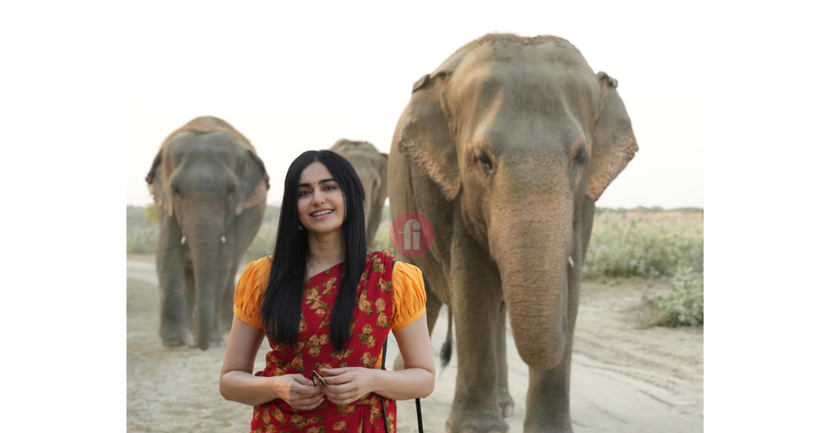 Adah Sharma joins hands with Wildlife SOS for abused elephants